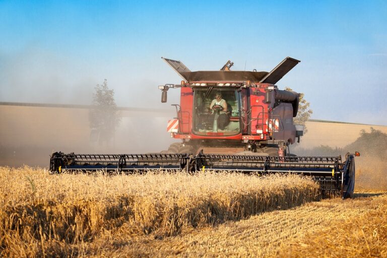 Riesgo precio: solo una octava parte del trigo nuevo está cubierto
