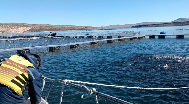 Por primera vez, Argentina logró apertura de 4 mercados para ovas de trucha arcoíris