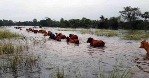 Inundaciones en la provincia de Buenos Aires provocarían pérdida de US$ 2.400 millones
