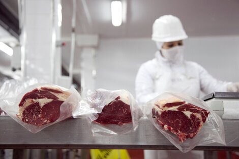 Comercio mundial de carne: precios en alza, exportaciones crecientes y un mercado expectante