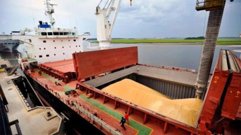 Exportaciones de soja para noviembre marcan un récord