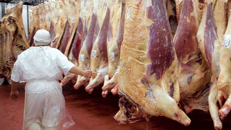 Creció el volumen de carne destinado al mercado doméstico