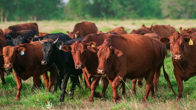 CARBAP cuestionó la tasa ambiental que propone una diputada kirchnerista: “Increíble”