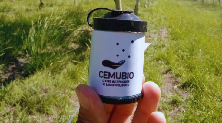 Primera exportación de controladores biológicos para frutales