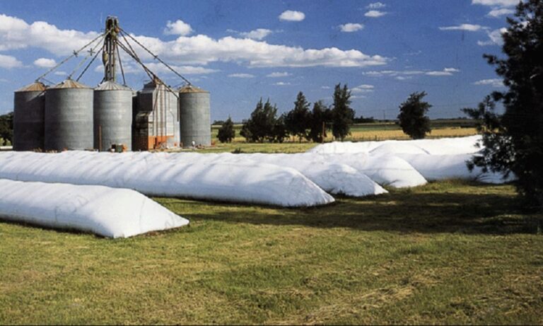 El Gobierno oficializó finalmente la baja de retenciones