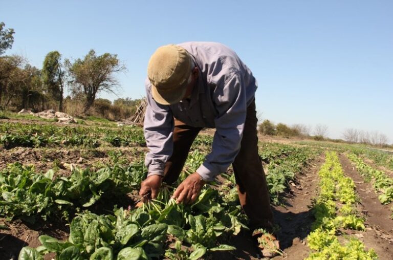 Aumenta 3%: la prestación por desempleo para trabajadores rurales