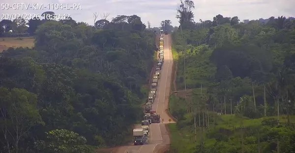 Caos logístico en plena cosecha récord de soja en Brasil