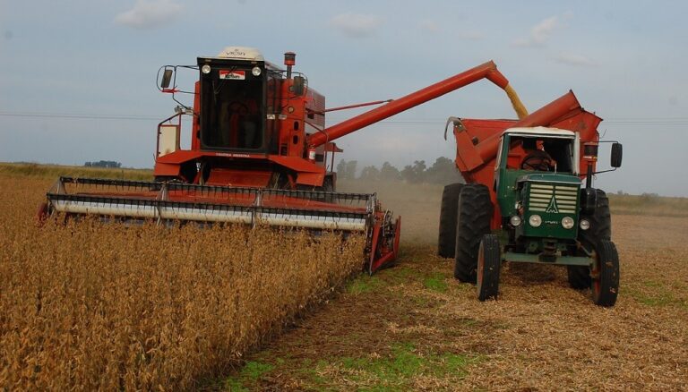 La actividad agropecuaria alcanzó un nuevo máximo en enero