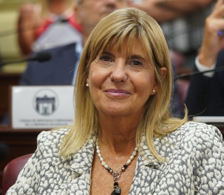 Rodenas preocupada por el impacto de las importaciones en la provincia