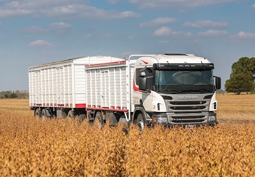 Maíz: el rubro fletes lidera las subas en los costos de los granos