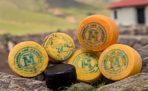 Otorgan al queso de Tafí del Valle el sello de indicación geográfica