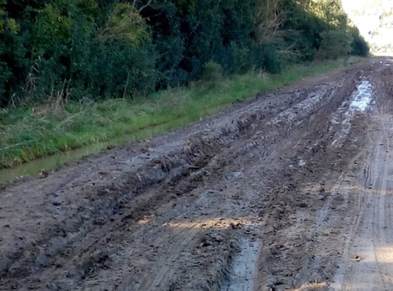 Quejas por el mal estado de los caminos rurales y el manejo hídrico en Santa Fe