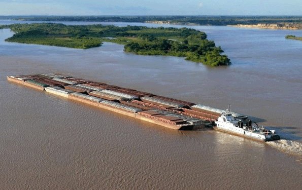 La soja paraguaya llegó en auxillio de la industria aceitera