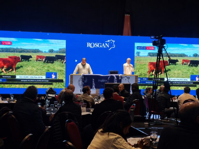 Rosgan abrió la Semana Angus con un remate de 10.000 cabezas