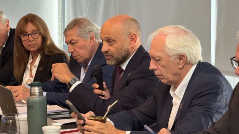 Fiebre aftosa: la Región Centro impulsa un esquema diferencial de vacunación para tambos