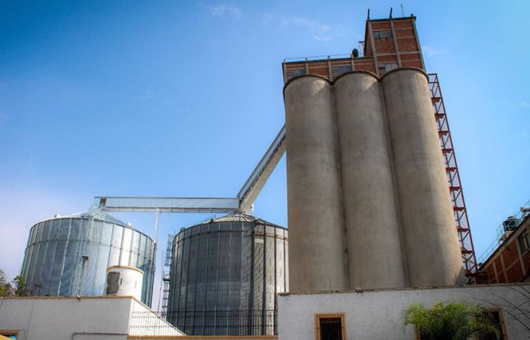 Aceiteras y cerealeras generaron divisas por más de 2.600 millones de dólares