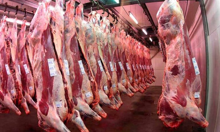 Creció un 369% la venta de carne argentina a los Estados Unidos