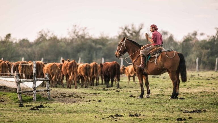 Está abierta la inscripción al Programa de Empleo Rural del RENATRE
