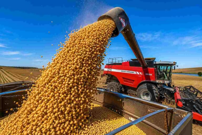 La cosecha récord sostiene la actividad de la cadena agropecuaria