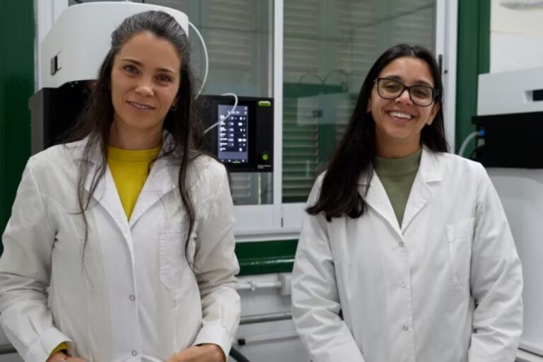 Córdoba avanza con una miel en polvo inédita en el país