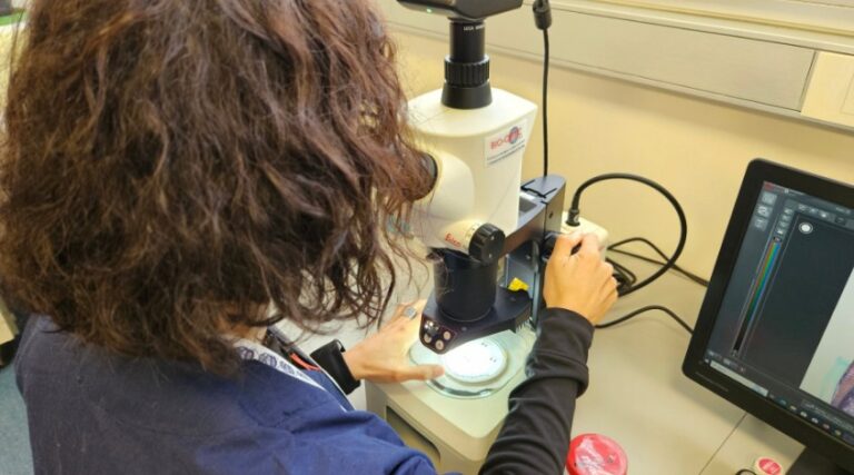 Nuevo portal Mi SENASA: acceso online a la consulta de resultados de análisis de laboratorio