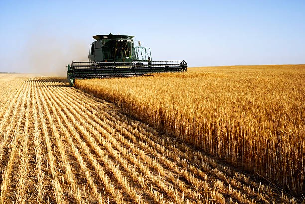 El apoyo al agro en el MERCOSUR: cuatro trayectorias de política agropecuaria